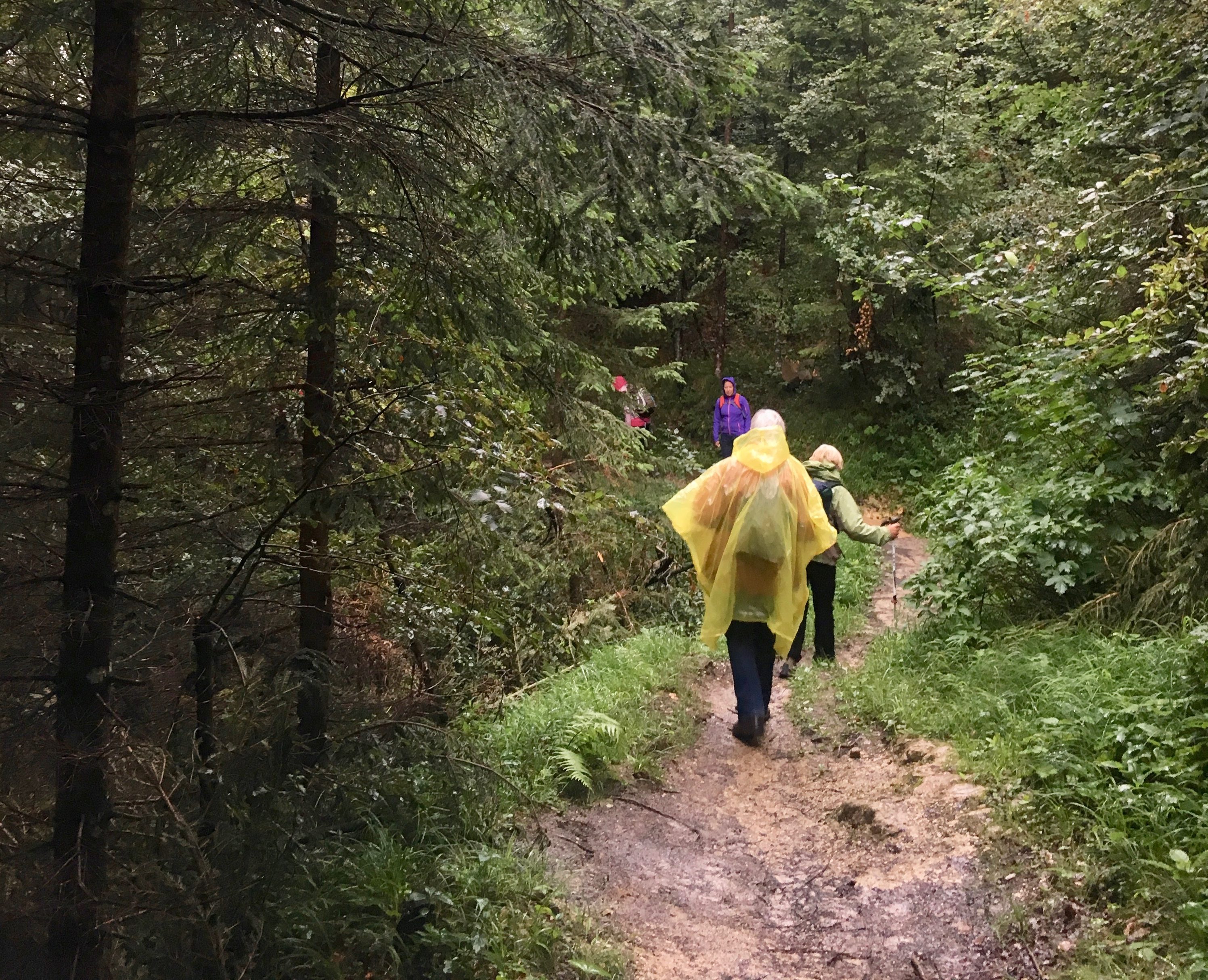 BJV_Walk_Well_2019_Regentrupp2 Netzwerken beim Wandern